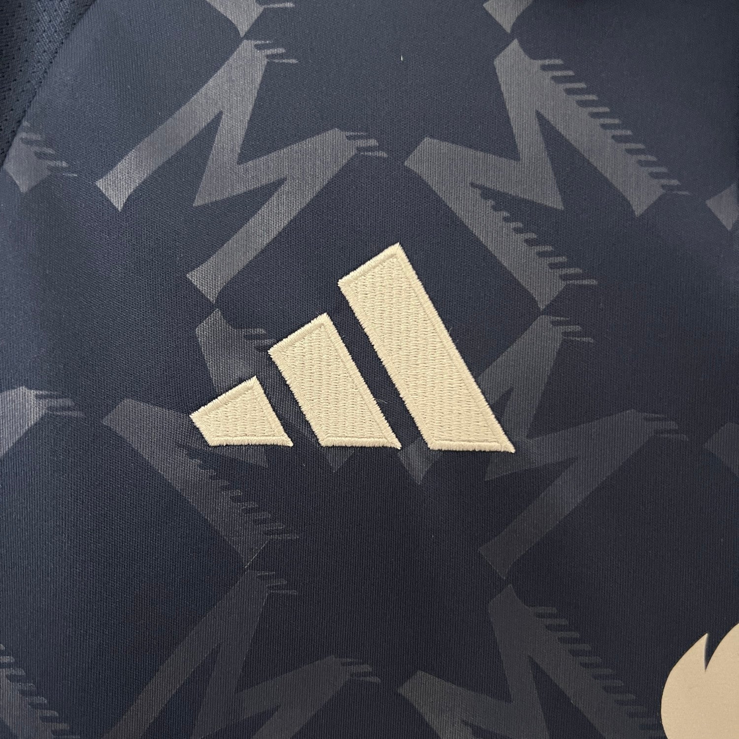 Manchester United Man Away Jersey 24/25